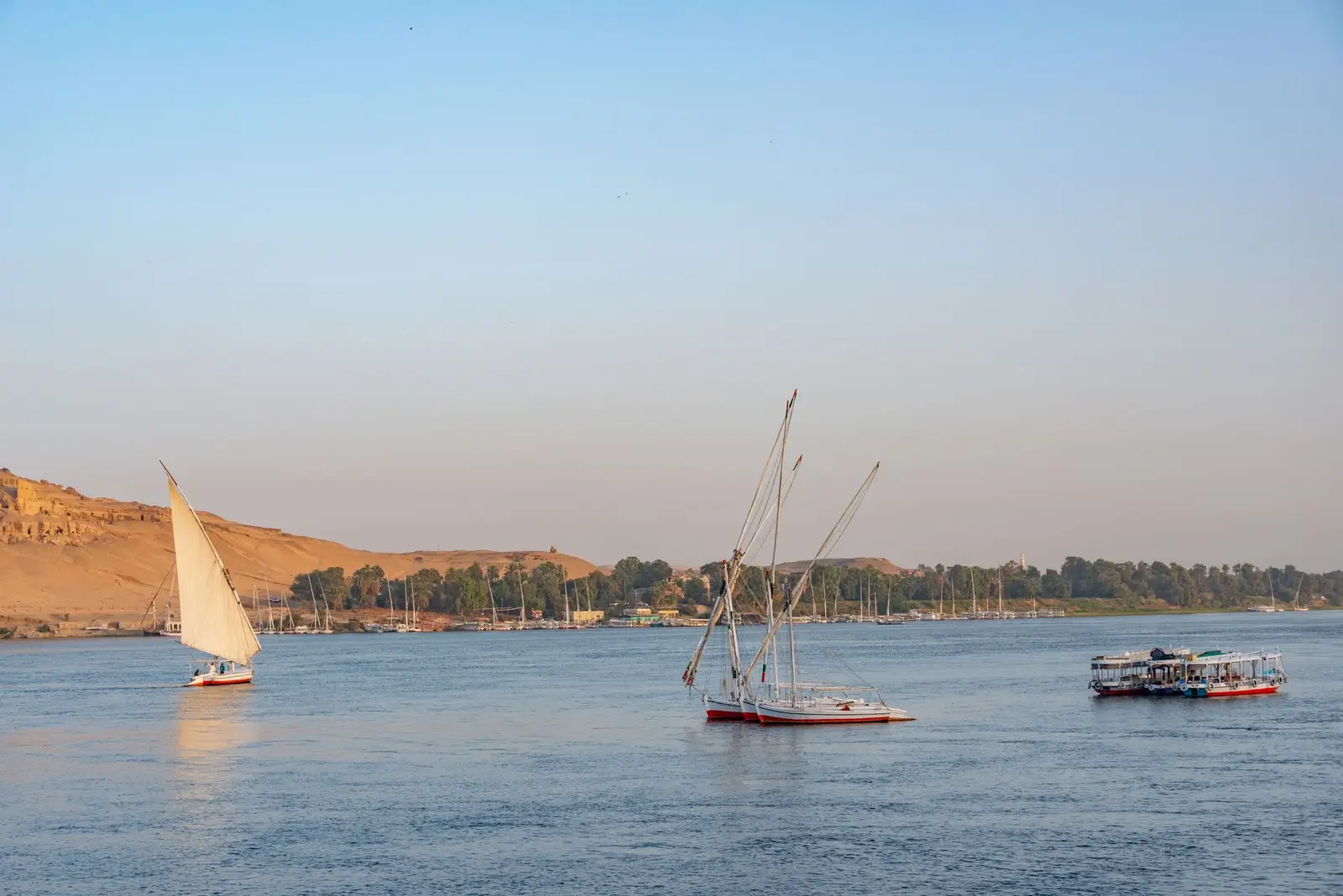 Things to Do in Aswan, in the Order That Actually Matters